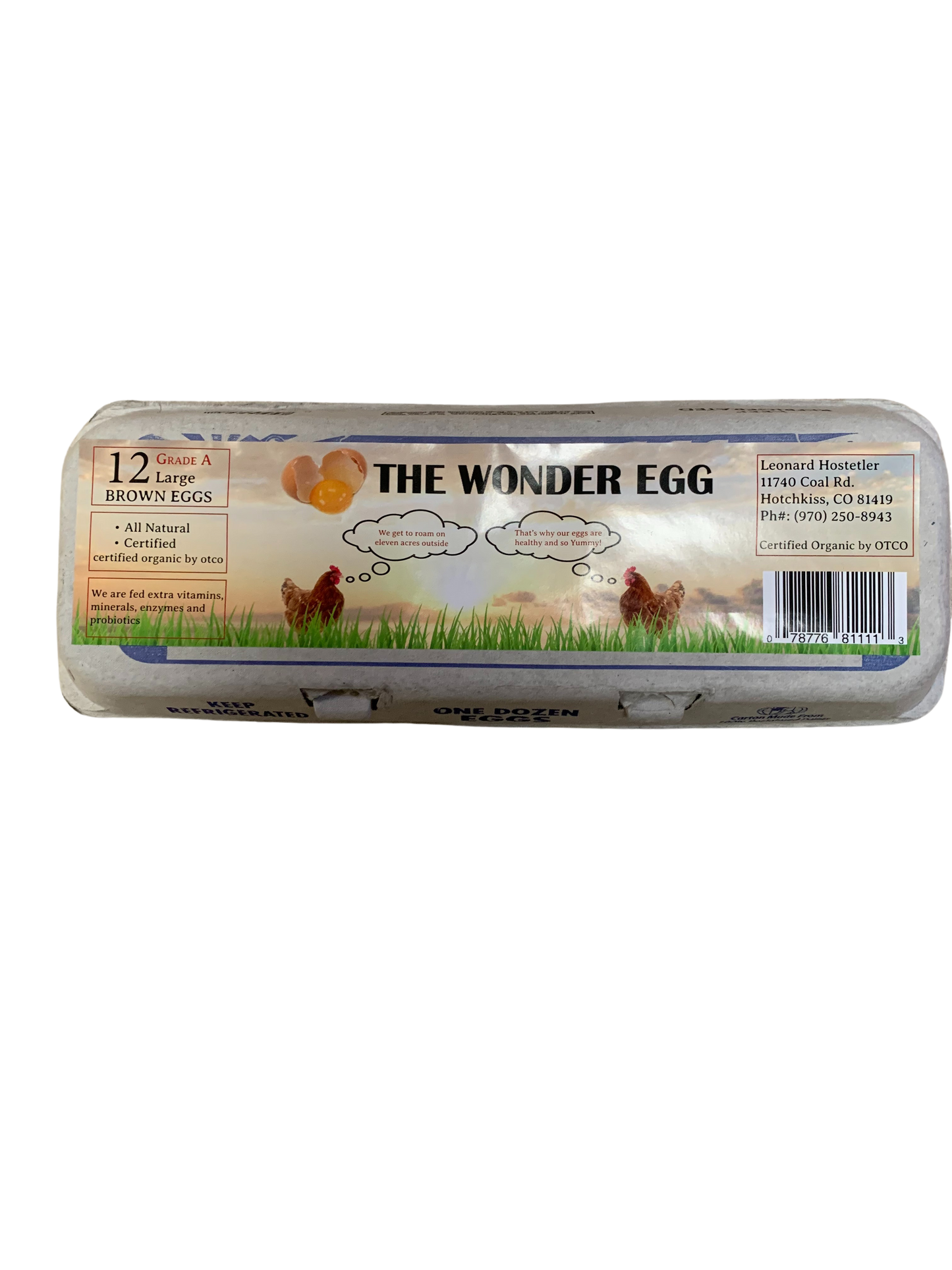 The Wonder Egg Large Organic Eggs