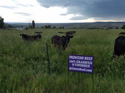 Princess Beef Sirloin Tip Grass Fed Steak